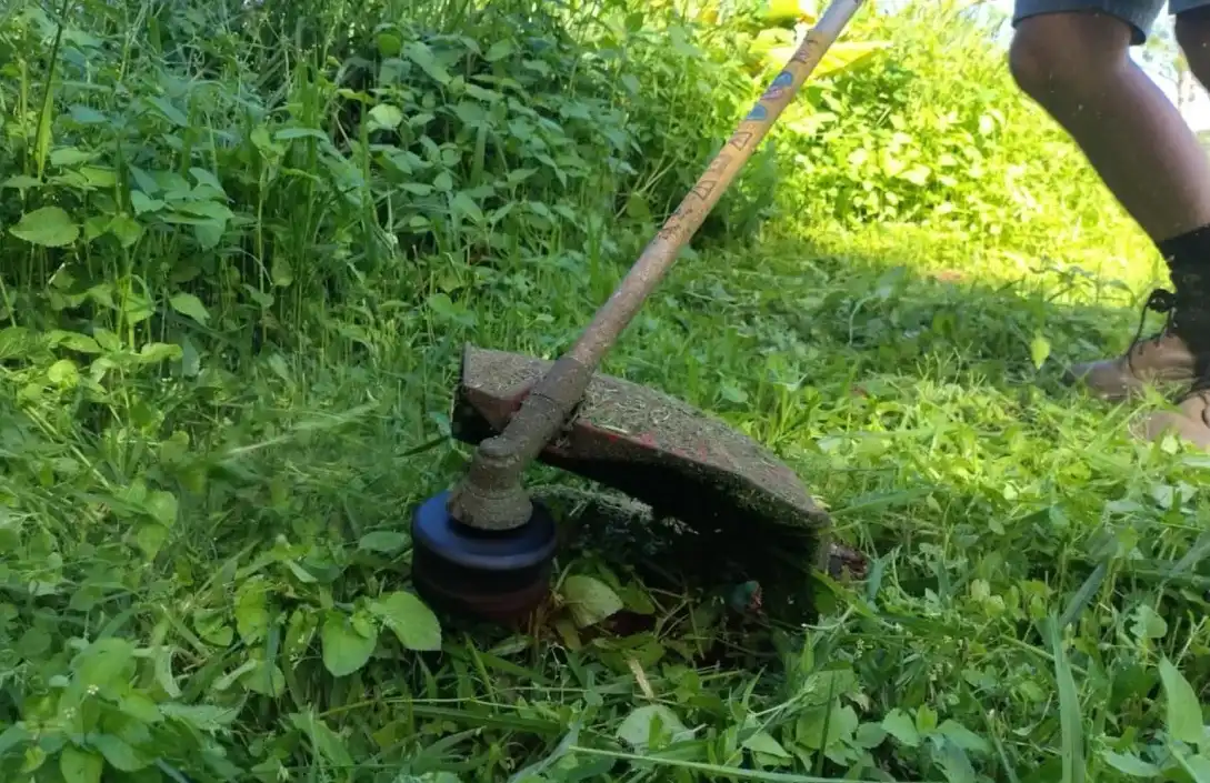 Desbrozadora para maleza gruesa