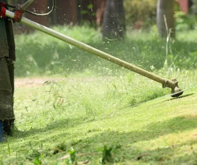 ¿Cómo desbrozar un terreno correctamente?
