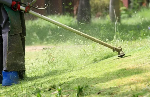 ¿Cómo desbrozar un terreno correctamente?